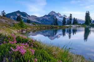 Backcountry Food