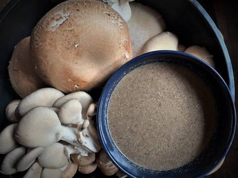 Wild & Local Mushroom Soup